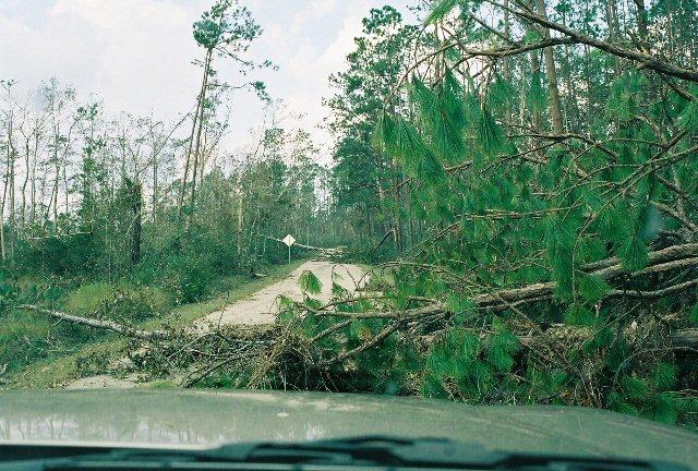 home_30Aug_01.jpg - This was as far as we could go on Paradise Rd by truck